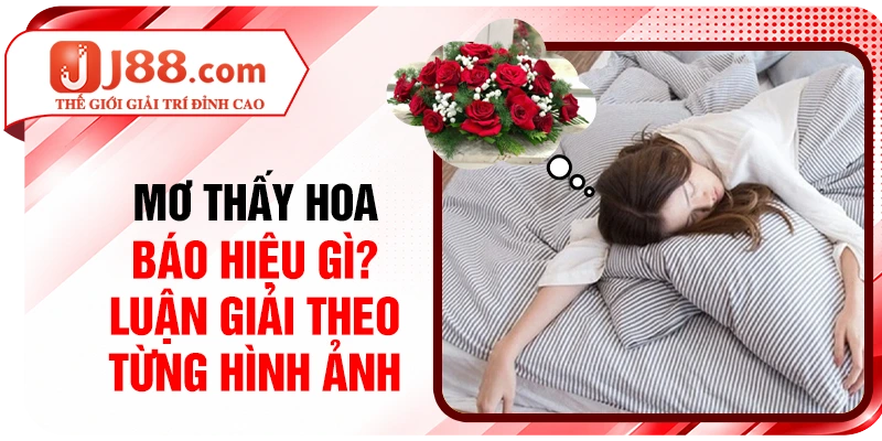 Mơ Thấy Hoa Báo Hiệu Gì? Luận Giải Theo Từng Hình Ảnh