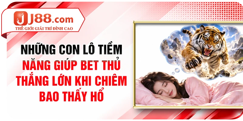 Những con lô tiềm năng giúp bet thủ thắng lớn khi chiêm bao thấy hổ
