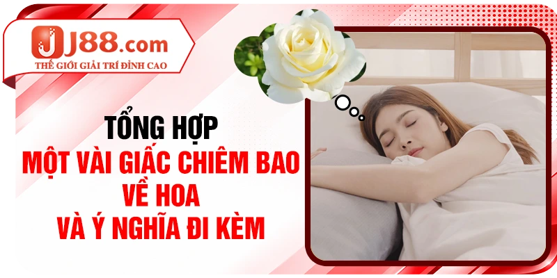 Tổng hợp một vài giấc chiêm bao về hoa và ý nghĩa đi kèm